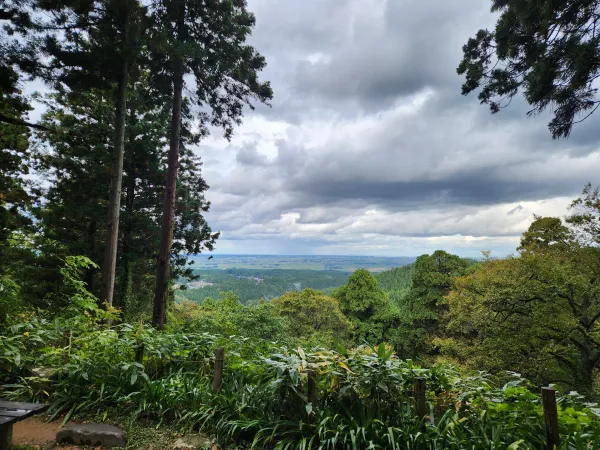 The peaceful resting spot with tea overlooking the forest